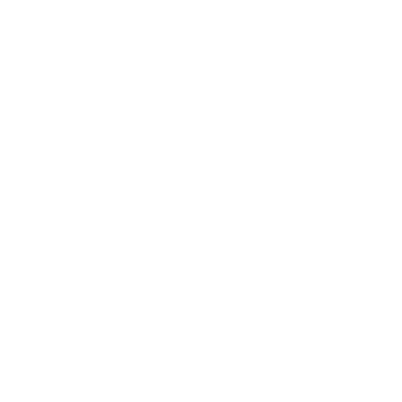 Security Icon