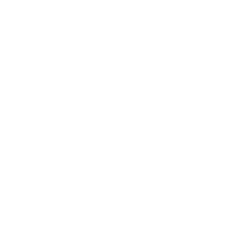 Shield Icon